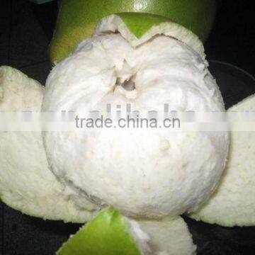 Chinese fresh pomelo