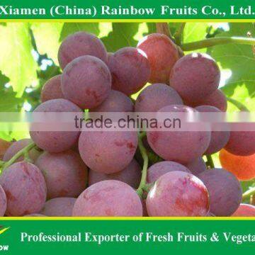 Fresh table grapes