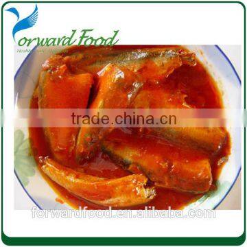 best canned sardine price in tomato paste