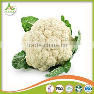 2017 New Crop Fresh Cauliflower photo-2
