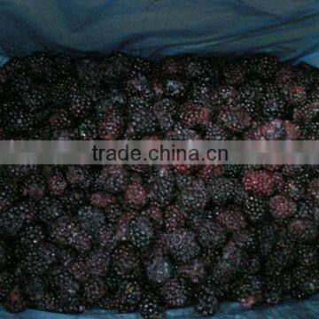 2014 Season Frozen Blackberry, Best Quality For Our Customers photo-2