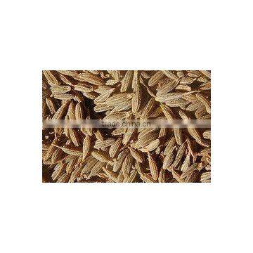 Cumin Seeds photo-3