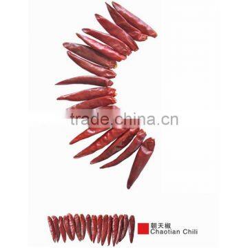 Tianying chili, Tianying chili chaotian, Tianying chili stemless, Tianying chili chaotian, hot Tianying chili chaotian, dry chi