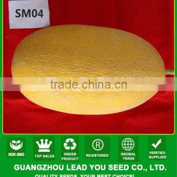 SM04 Ruihong good quality high output hami melon seeds, fruit seeds for sale