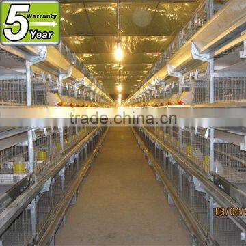 Available for One Layer or Layers Adjustment 160 Bird Cage of Broiler