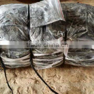 Supply Dried Brown Seaweed Sea Alga Kelp Sheet for Facial and Body Treatment