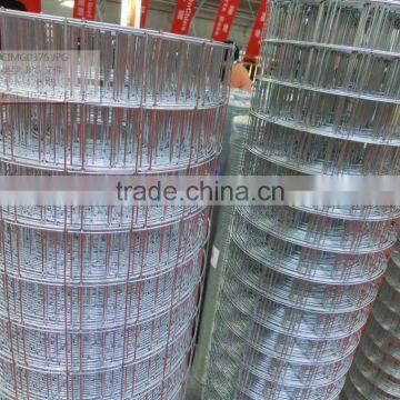 4X4cm hole sample free galvanized welded mesh