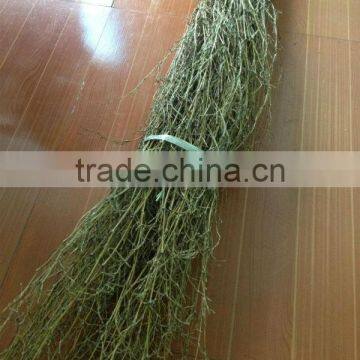 WYZ -0124 bamboo broom cheap