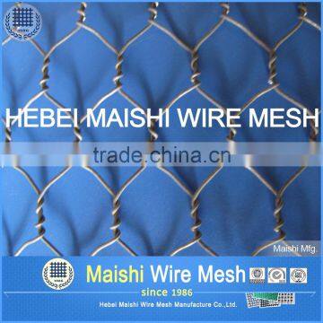 Hexagonal Mesh 1/2inch 1.2m With Low Price photo-5