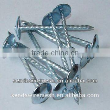 Umbrella Roofing Nails/Corrugated Roofing Nails/ Square Roofing Nails photo-3