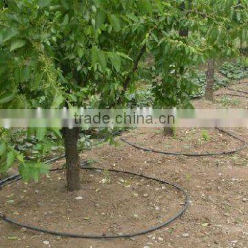Fruit Tree Irrigation System