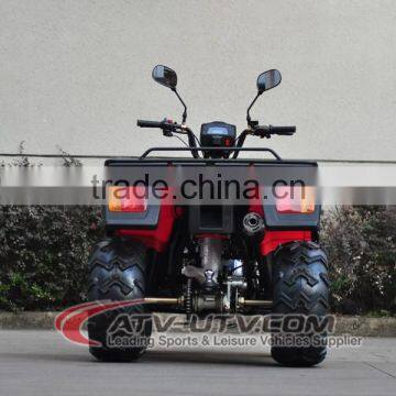 2015 Promotional Adult Fast Speed Cheap Chinese ATV (AT2009) photo-5