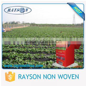 Wholesale Biodegradable Mulching Film / Landscape Fabric photo-3