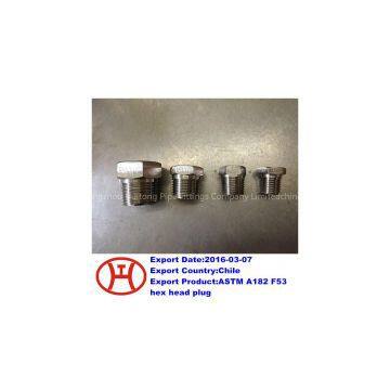 ASTM A182 F53 hex head plug