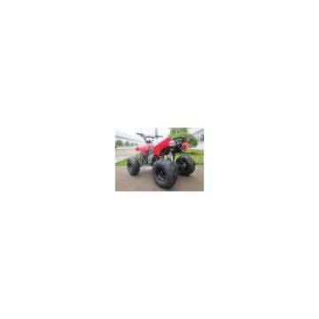 Automatic Kids Mini Quad Bike