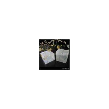 Plastic Clear Packing Box