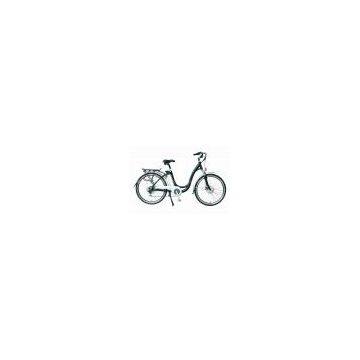 leading manufacturer of electric bike