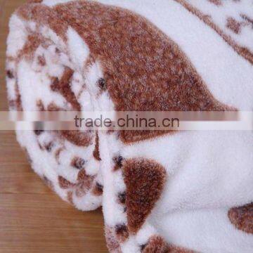 2012 New 100% Polyester Printed Coral Fleece Blanket