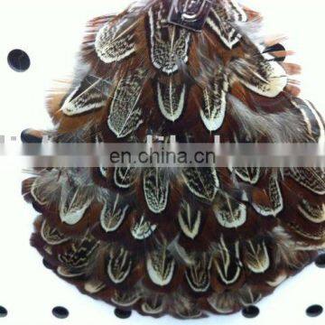 party carnival feather hair clip decoration MFC-013