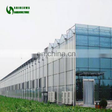 The Cheapest Large Manufacturer Glass Greenhouse Commercial Greenhouse