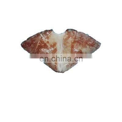 Wholesale good quality frozen squid wing for human consumption