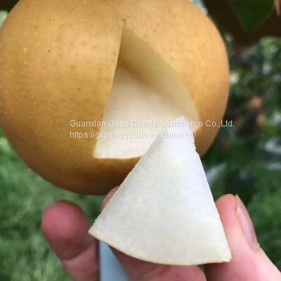 Fresh Fruit Pears/Ya Pear/Fragrant Pear/Crown Pear/Qiuyue Pear/Golden Pear