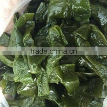 Fresh Kelp Knot,Laminaria Cut photo-2