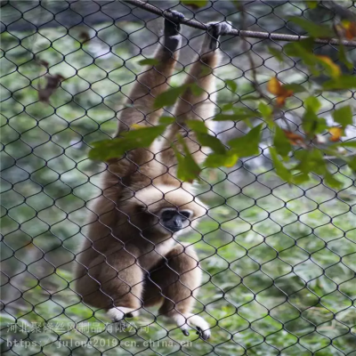 Instala??o fácil de parede verde/rede para zoológico/grade para corrim?o/grade para ponte de malha de cabo