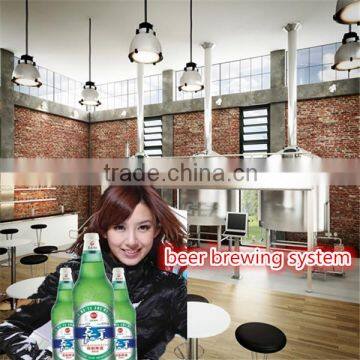 Low Invest Beer Machine From China for Small Business at Home