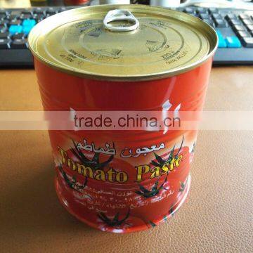 Factory sell canned tomato paste with 1000g