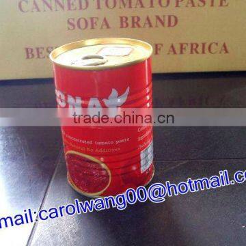 400g canned tomato sauce with best price and high quality