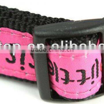 2.5CM dog collar & leash Nylon in stock