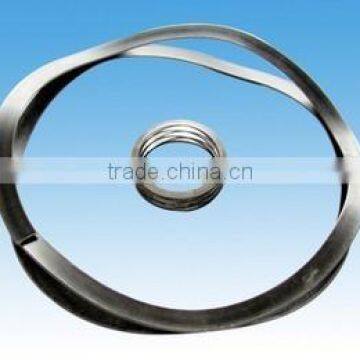 Carbon Steel and Stainless Steel Mult-layer or Single Layer Wave Washer With TS16949 Approved