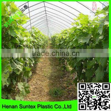 250micron anti fog anti drip plastic greenhouse film uv protection greenhouse cover