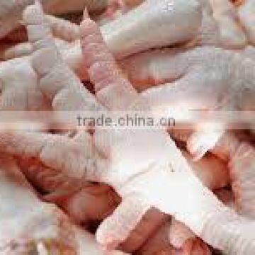 Top Quality Processed A Grade Frozen Chicken Feet and Paws