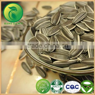 Wholesale Oil Sunflower Seeds Market Price