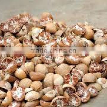 sliced cut dried betel nuts