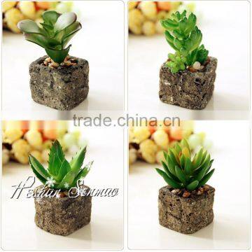 Pure Hand-made New Arrival Artificial Succulent Mini Bonsai for Indoor Decoration