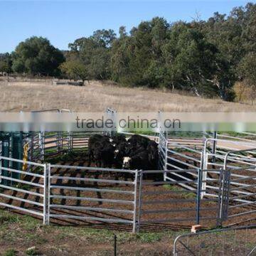 Hot dipped Galvanised 2.1m*1.8m steel portable cattle panels , oval tube, square pipe hot sale