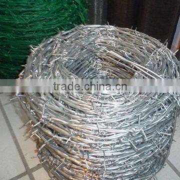 Galvanized barbed wire