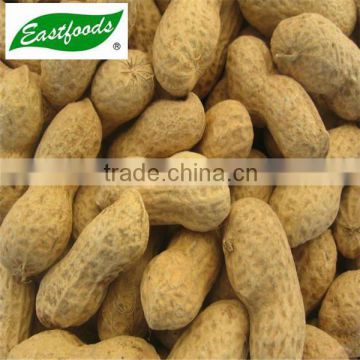 Shandong peanut in shell 9/11