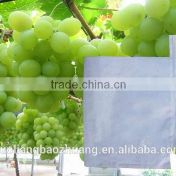 Custom-Made Different Types Fruit Protection Paper Bags