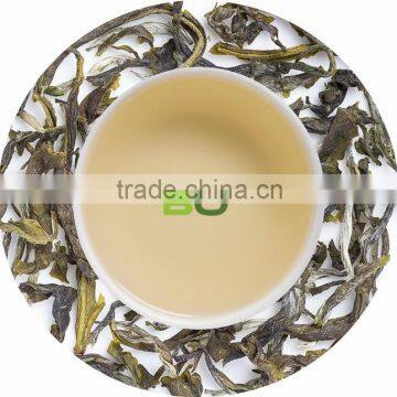 Bonville Winter Frost Green Tea