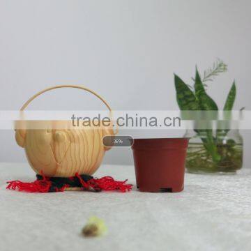 Design Wooden Grain Cute Decoration Resin Metal Hanging Flower Pot Stand