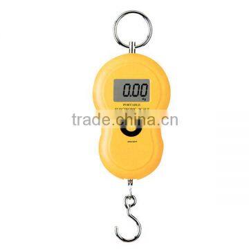 Portable scale