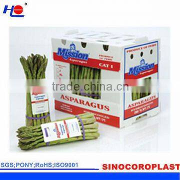 Plastic Asparagus Box