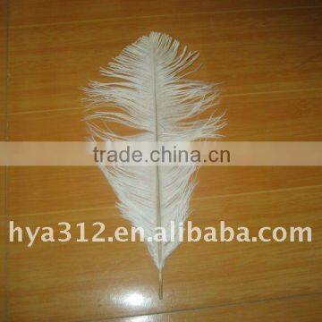 ostrich feather -white feather