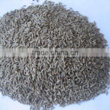 cumin seeds