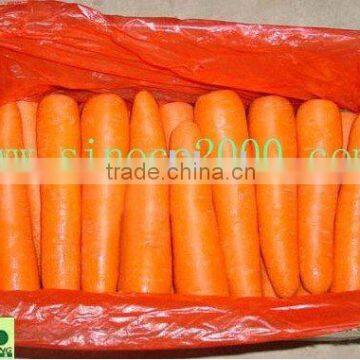 china carrot crop 2010