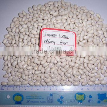 2013 new crop White Kidney Bean- factory supplying